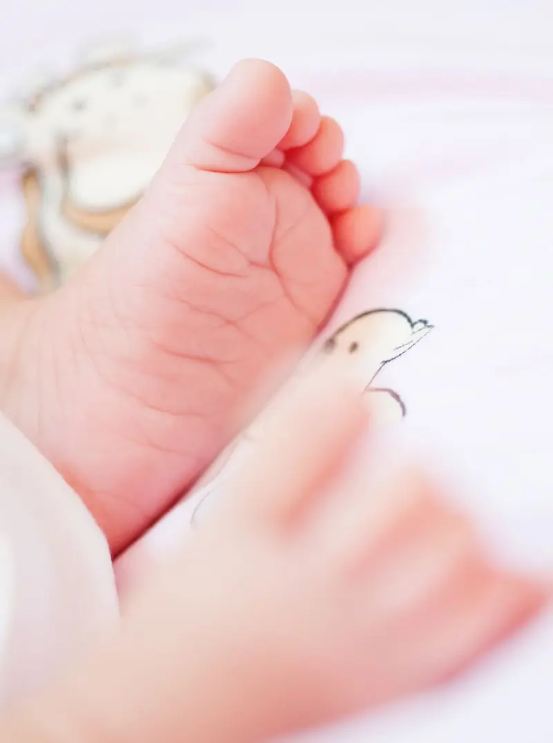 Portfolio photograph 41