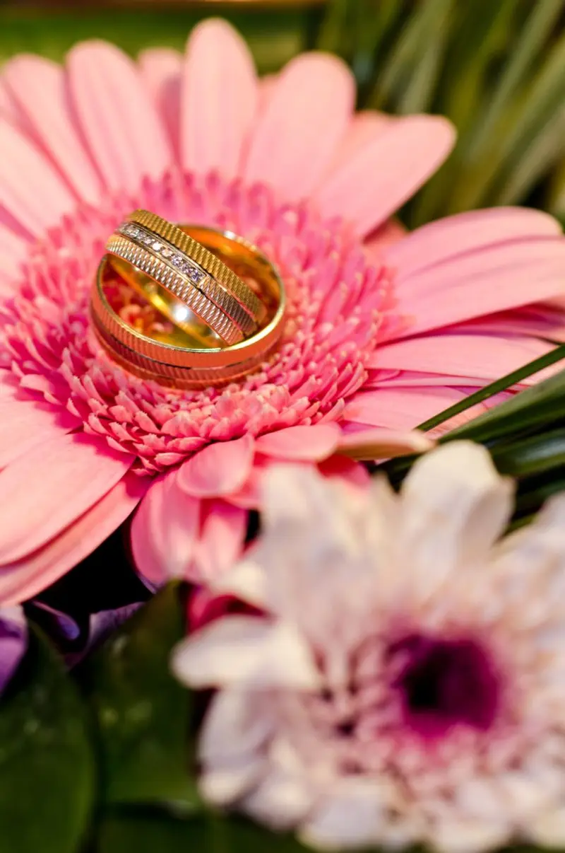 Wedding photograph 6